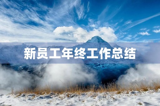新员工年终工作总结 新员工年终工作总结