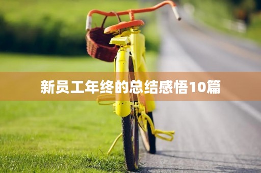 新员工年终的总结感悟10篇