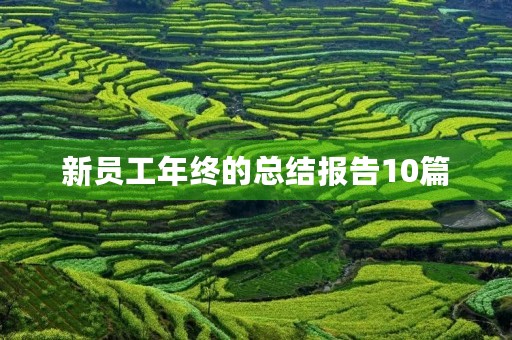 新员工年终的总结报告10篇 新员工年终的总结报告10篇