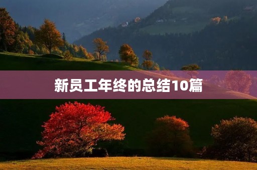 新员工年终的总结10篇 新员工年终的总结10篇