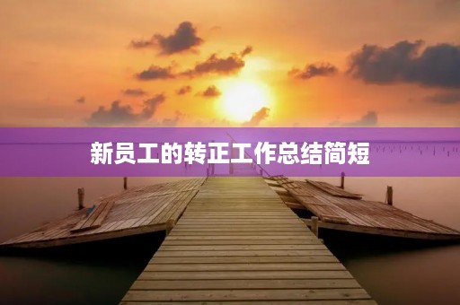 新员工的转正工作总结简短
