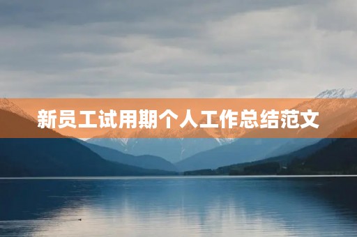 新员工试用期个人工作总结范文