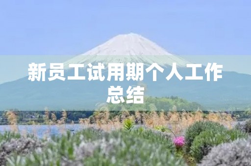 新员工试用期个人工作总结