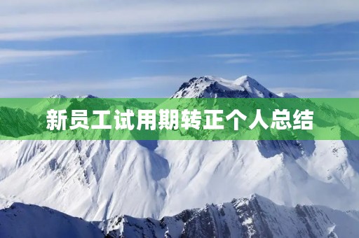 新员工试用期转正个人总结