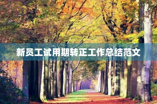 新员工试用期转正工作总结范文