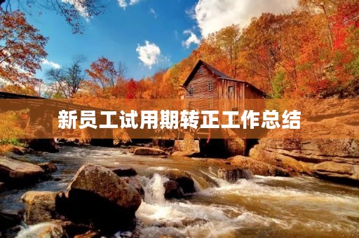 新员工试用期转正工作总结