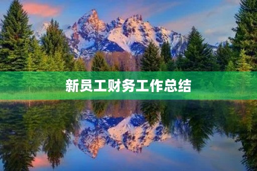 新员工财务工作总结