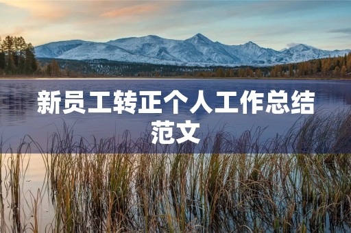 新员工转正个人工作总结范文