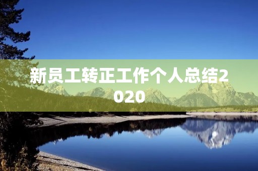 新员工转正工作个人总结2020