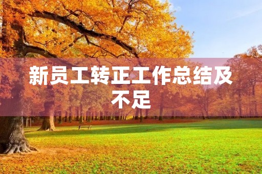 新员工转正工作总结及不足(10篇)
