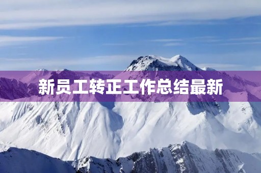 新员工转正工作总结最新