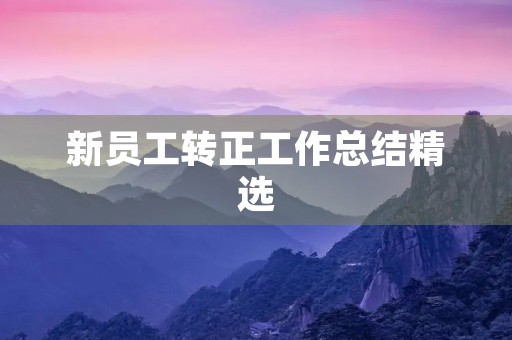 新员工转正工作总结精选