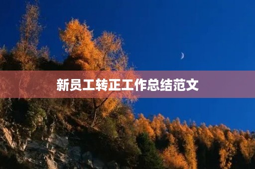 新员工转正工作总结范文