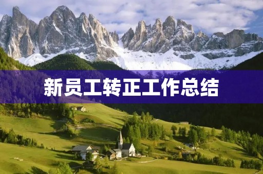 新员工转正工作总结