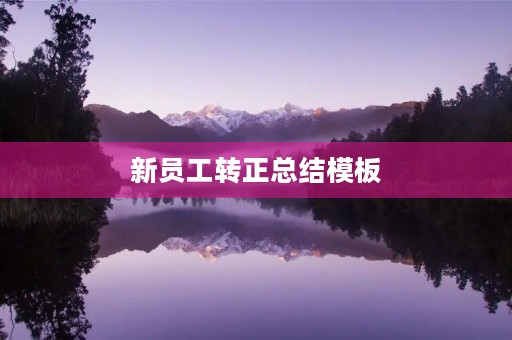 新员工转正总结模板