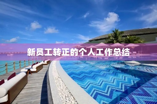 新员工转正的个人工作总结