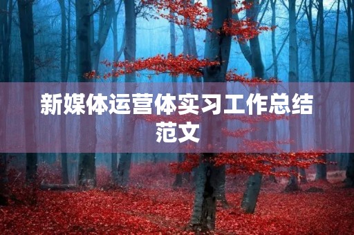 新媒体运营体实习工作总结范文 新媒体运营体实习工作总结范文
