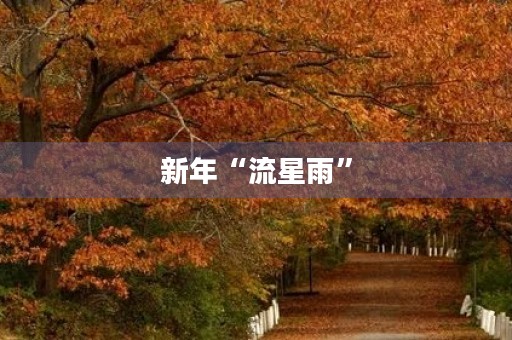 新年“流星雨”
