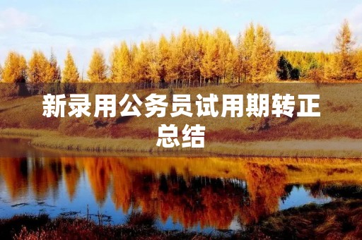 新录用公务员试用期转正总结
