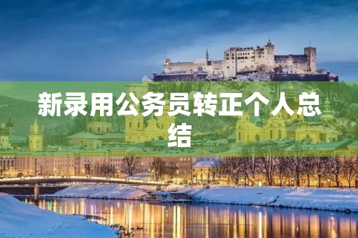 新录用公务员转正个人总结