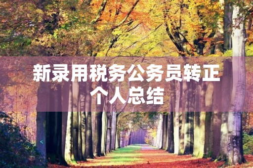 新录用税务公务员转正个人总结 新录用税务公务员转正个人总结