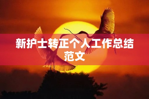 新护士转正个人工作总结范文