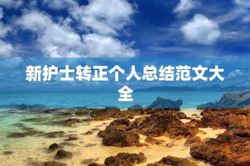 新护士转正个人总结范文大全