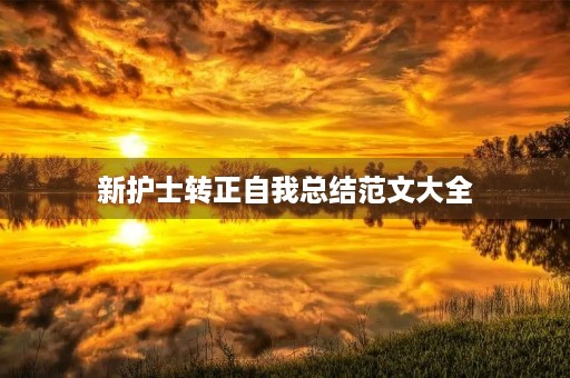 新护士转正自我总结范文大全