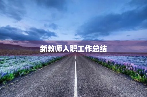 新教师入职工作总结