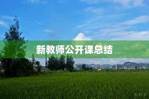新教师公开课总结