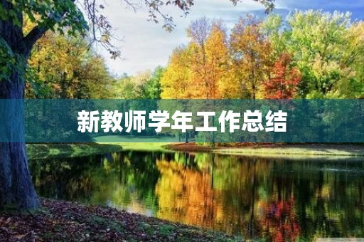 新教师学年工作总结