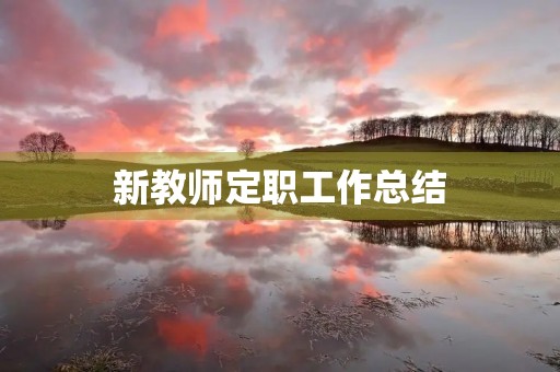 新教师定职工作总结 新教师定职工作总结