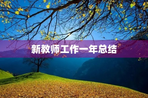 新教师工作一年总结