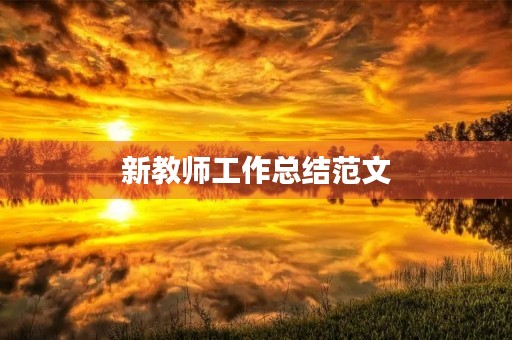 新教师工作总结范文