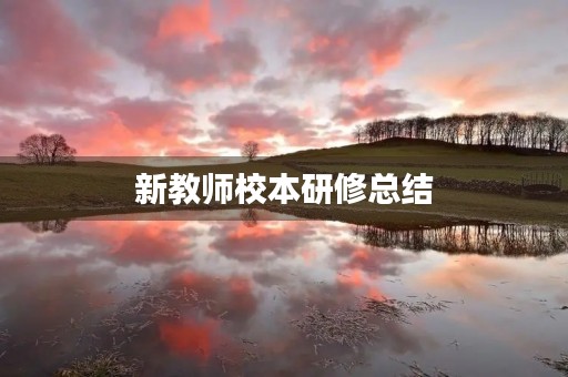 新教师校本研修总结