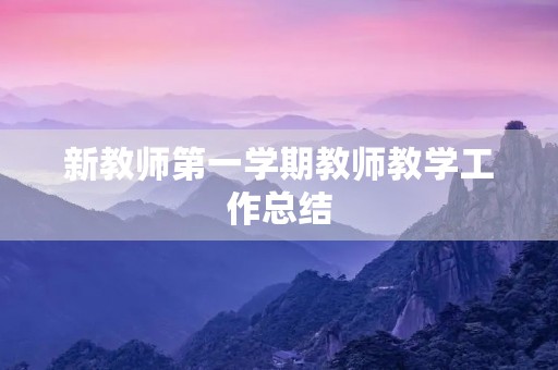 新教师第一学期教师教学工作总结 新教师第一学期教师教学工作总结