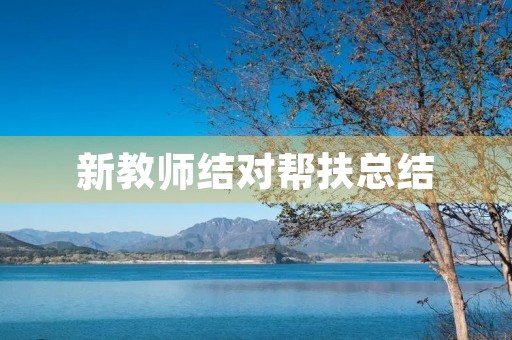 新教师结对帮扶总结