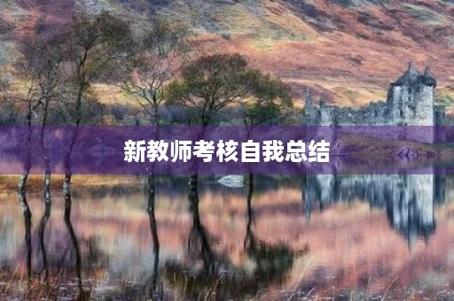 新教师考核自我总结 新教师考核自我总结