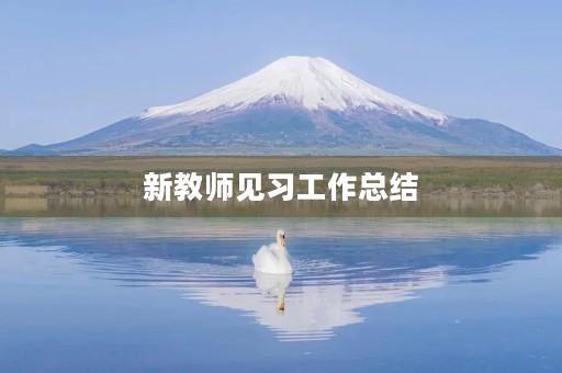 新教师见习工作总结