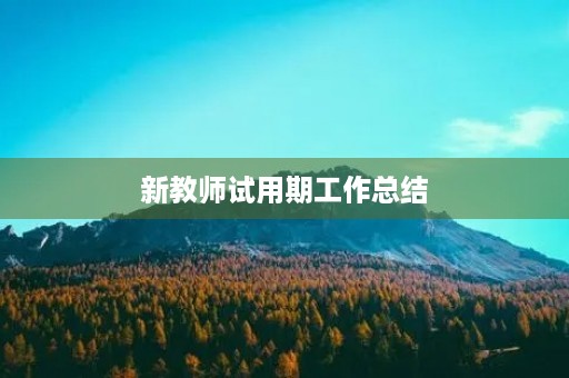 新教师试用期工作总结