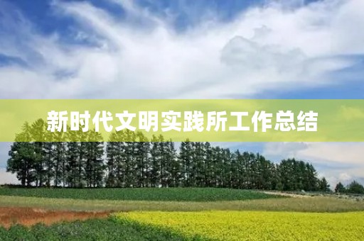新时代文明实践所工作总结