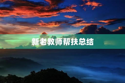 新老教师帮扶总结