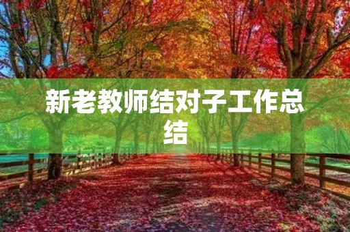 新老教师结对子工作总结