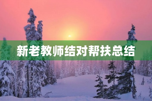 新老教师结对帮扶总结
