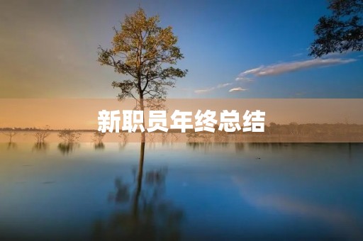 新职员年终总结