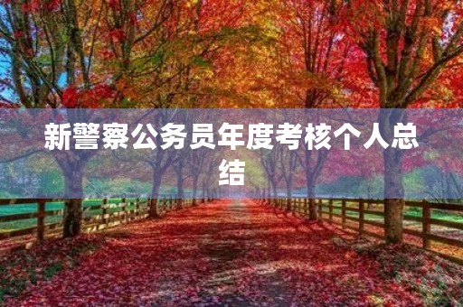 新警察公务员年度考核个人总结