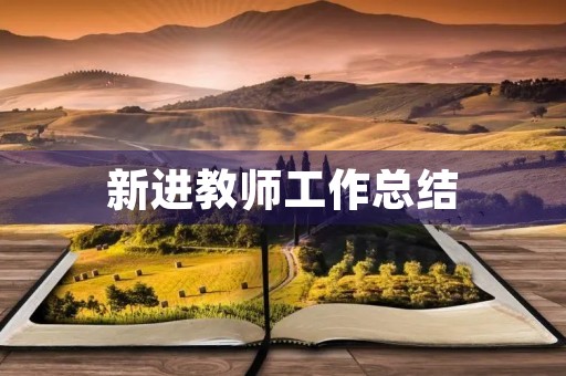 新进教师工作总结