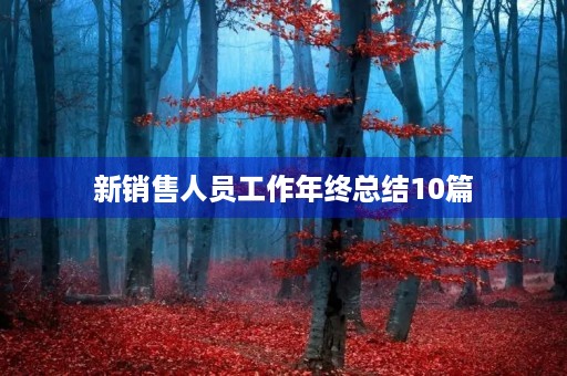 新销售人员工作年终总结10篇 新销售人员工作年终总结10篇