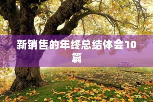 新销售的年终总结体会10篇