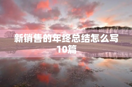 新销售的年终总结怎么写10篇
